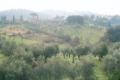 The Tuscan Country Side